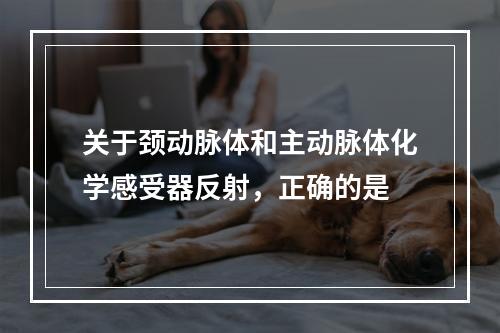 关于颈动脉体和主动脉体化学感受器反射，正确的是