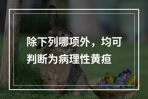 除下列哪项外，均可判断为病理性黄疸