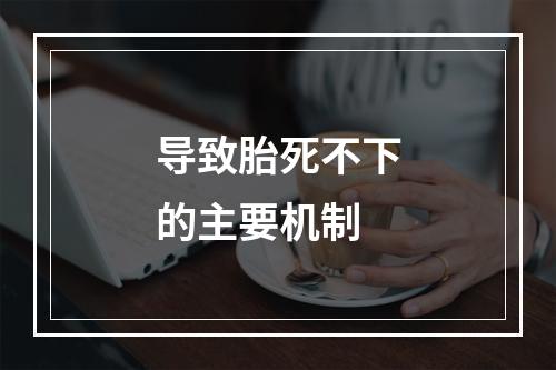 导致胎死不下的主要机制