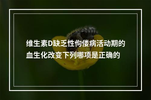 维生素D缺乏性佝偻病活动期的血生化改变下列哪项是正确的