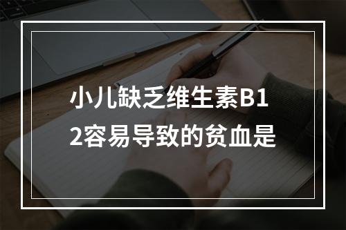 小儿缺乏维生素B12容易导致的贫血是