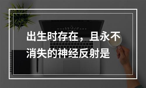 出生时存在，且永不消失的神经反射是