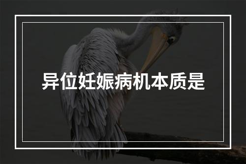 异位妊娠病机本质是