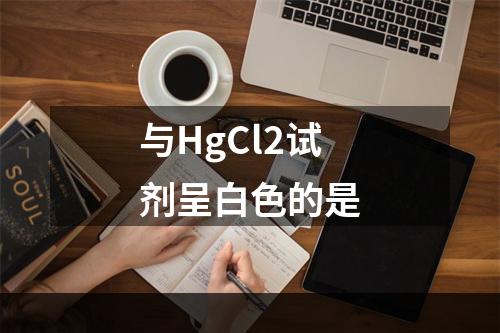 与HgCl2试剂呈白色的是