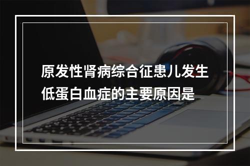 原发性肾病综合征患儿发生低蛋白血症的主要原因是