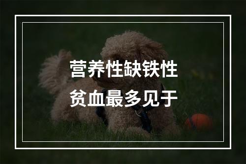 营养性缺铁性贫血最多见于