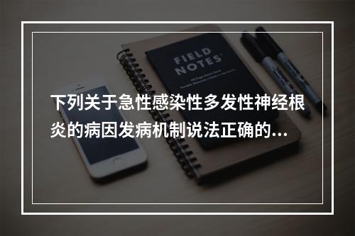 下列关于急性感染性多发性神经根炎的病因发病机制说法正确的是