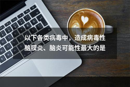 以下各类病毒中，造成病毒性脑膜炎、脑炎可能性最大的是