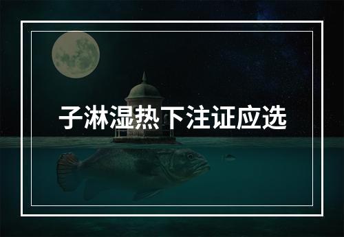 子淋湿热下注证应选