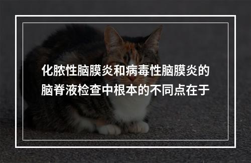 化脓性脑膜炎和病毒性脑膜炎的脑脊液检查中根本的不同点在于