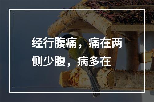 经行腹痛，痛在两侧少腹，病多在