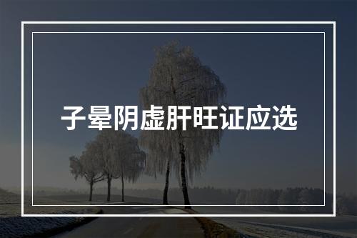 子晕阴虚肝旺证应选