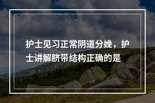 护士见习正常阴道分娩，护士讲解脐带结构正确的是