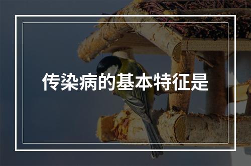 传染病的基本特征是