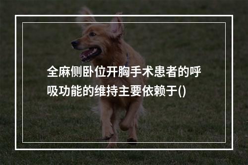 全麻侧卧位开胸手术患者的呼吸功能的维持主要依赖于()