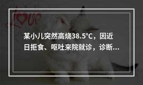 某小儿突然高烧38.5℃，因近日拒食、呕吐来院就诊，诊断为病