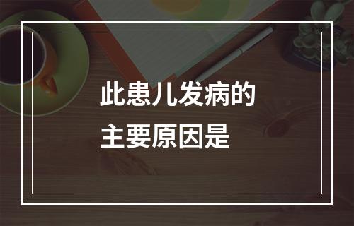 此患儿发病的主要原因是