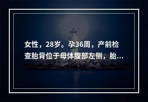 女性，28岁。孕36周，产前检查胎背位于母体腹部左侧，胎心位