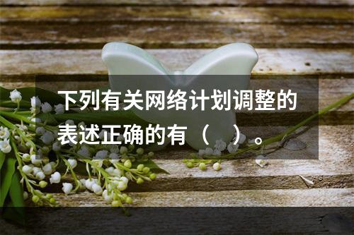 下列有关网络计划调整的表述正确的有（　）。