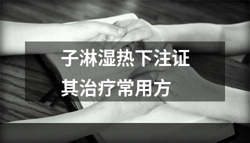 子淋湿热下注证其治疗常用方