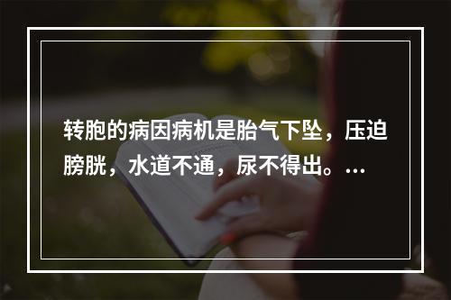 转胞的病因病机是胎气下坠，压迫膀胱，水道不通，尿不得出。临床