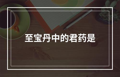 至宝丹中的君药是