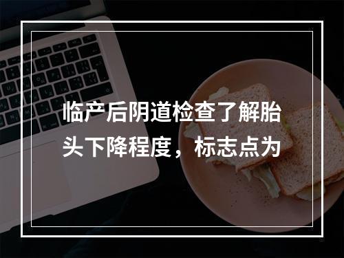 临产后阴道检查了解胎头下降程度，标志点为