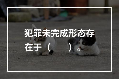 犯罪未完成形态存在于（　　）。