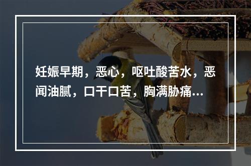 妊娠早期，恶心，呕吐酸苦水，恶闻油腻，口干口苦，胸满胁痛，舌