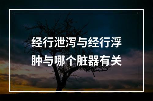 经行泄泻与经行浮肿与哪个脏器有关