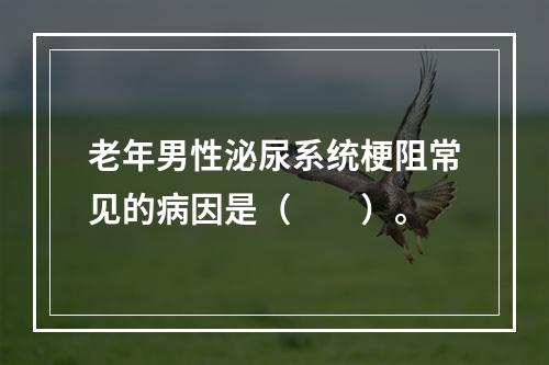 老年男性泌尿系统梗阻常见的病因是（　　）。