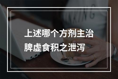 上述哪个方剂主治脾虚食积之泄泻