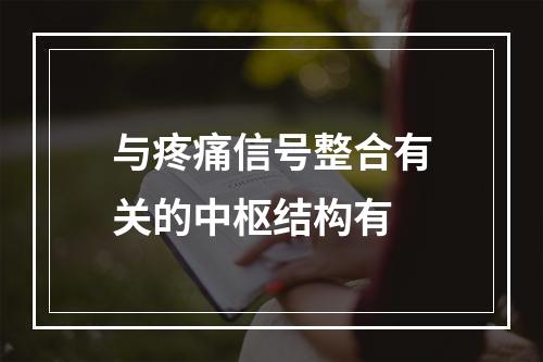 与疼痛信号整合有关的中枢结构有