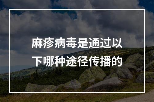 麻疹病毒是通过以下哪种途径传播的