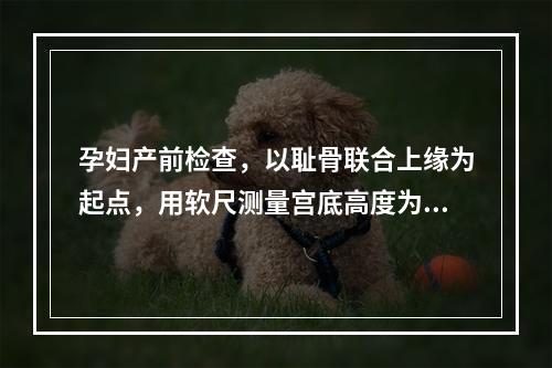 孕妇产前检查，以耻骨联合上缘为起点，用软尺测量宫底高度为26