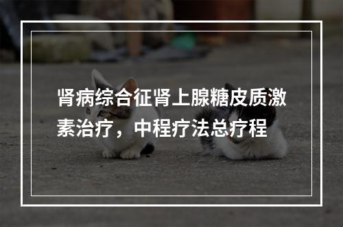 肾病综合征肾上腺糖皮质激素治疗，中程疗法总疗程