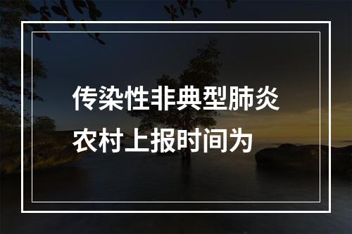 传染性非典型肺炎农村上报时间为