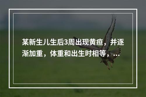 某新生儿生后3周出现黄疸，并逐渐加重，体重和出生时相等，尿色