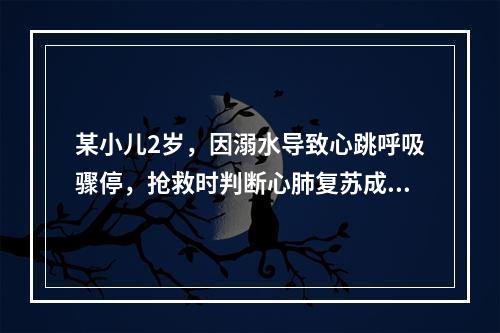 某小儿2岁，因溺水导致心跳呼吸骤停，抢救时判断心肺复苏成功的