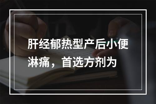 肝经郁热型产后小便淋痛，首选方剂为