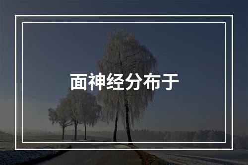 面神经分布于