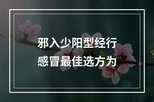 邪入少阳型经行感冒最佳选方为