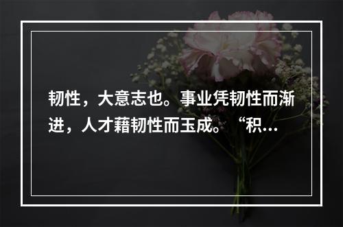 韧性，大意志也。事业凭韧性而渐进，人才藉韧性而玉成。“积土