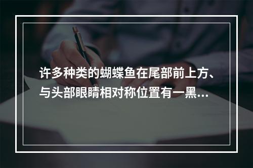 许多种类的蝴蝶鱼在尾部前上方、与头部眼睛相对称位置有一黑色