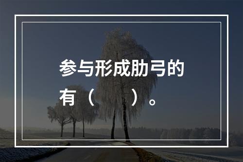 参与形成肋弓的有（　　）。