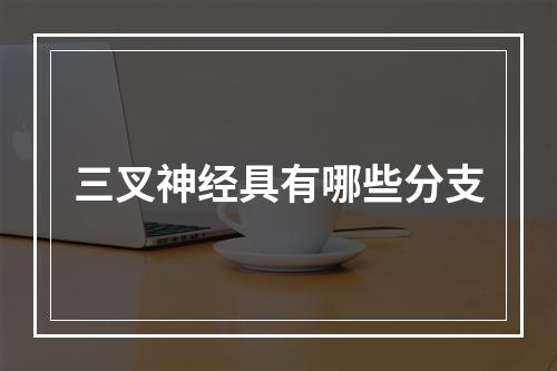 三叉神经具有哪些分支