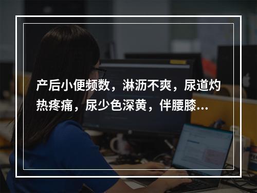 产后小便频数，淋沥不爽，尿道灼热疼痛，尿少色深黄，伴腰膝酸软