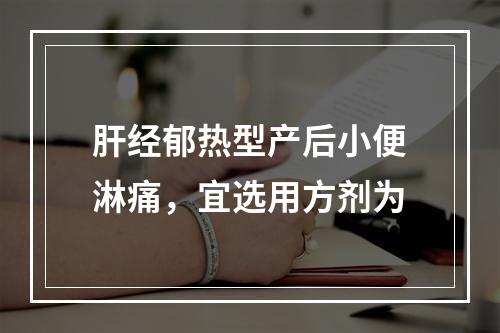 肝经郁热型产后小便淋痛，宜选用方剂为