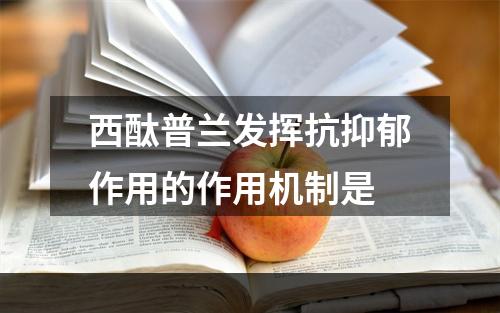 西酞普兰发挥抗抑郁作用的作用机制是