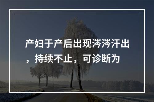 产妇于产后出现涔涔汗出，持续不止，可诊断为